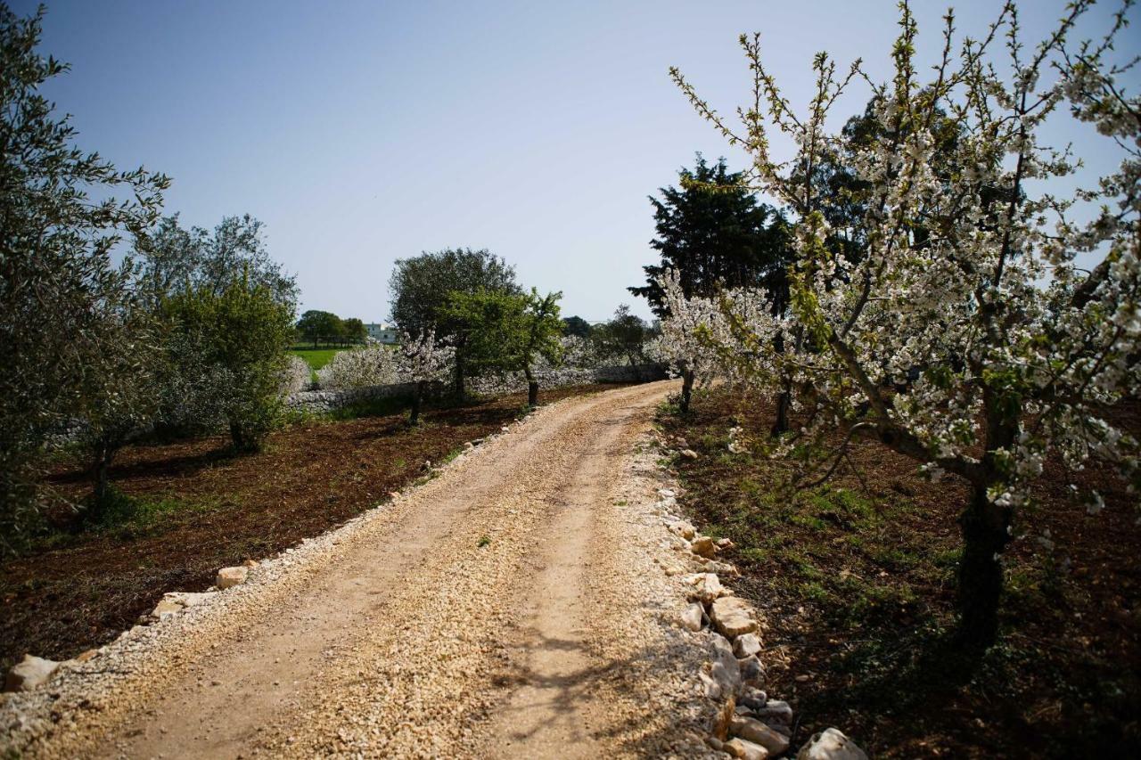 Masseria Guadiano Vecchio Санта-Лючия Экстерьер фото
